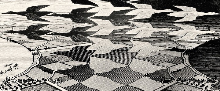 sinonimos y antonimos