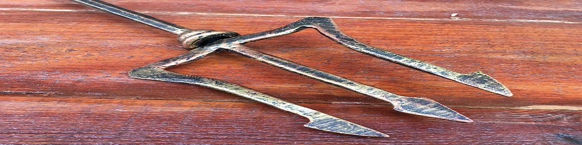 bajo los vientos de neptuno