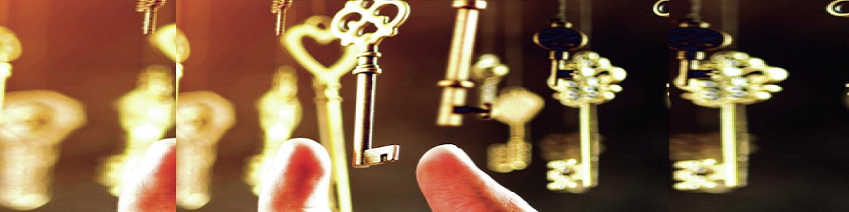 el arte de la pronoia