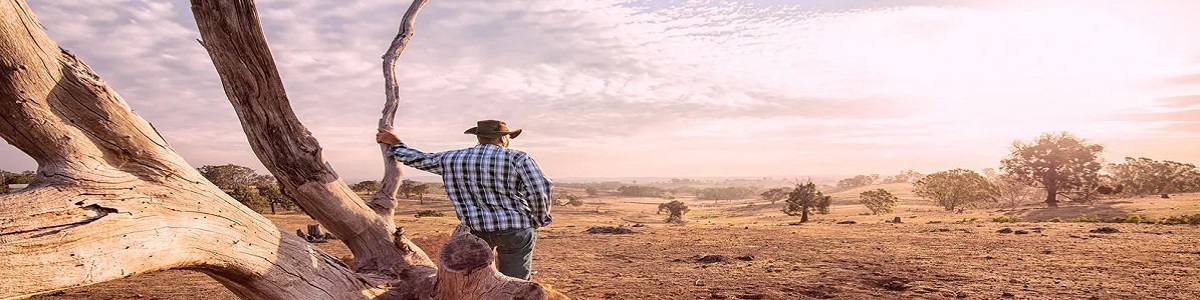 años de sequía - jane harper