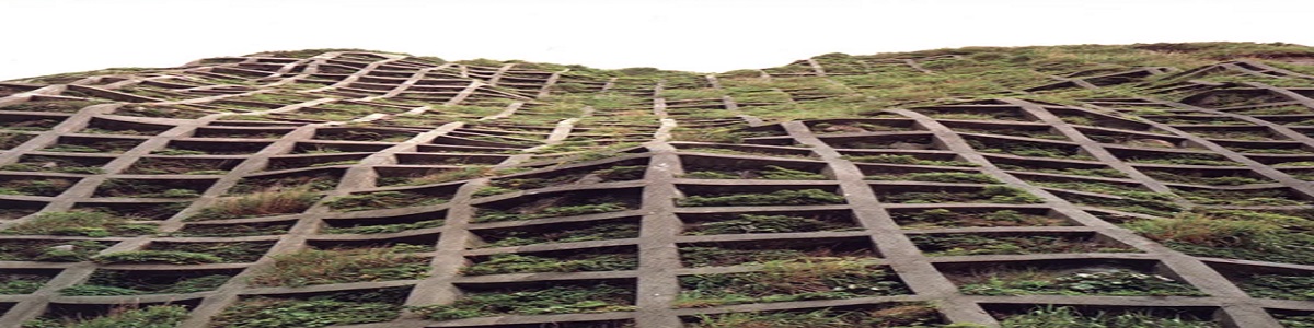 el mapa y el territorio